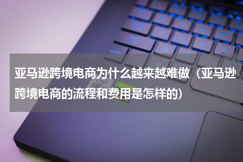 亚马逊跨境电商为什么越来越难做（亚马逊跨境电商的流程和费用是怎样的）