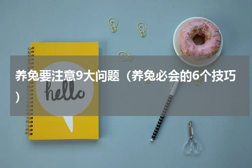 养兔要注意9大问题（养兔必会的6个技巧）