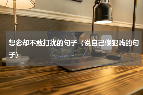 想念却不敢打扰的句子（说自己傻犯贱的句子）