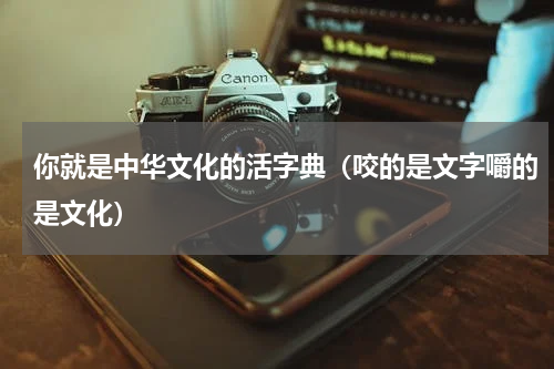 你就是中华文化的活字典（咬的是文字嚼的是文化）