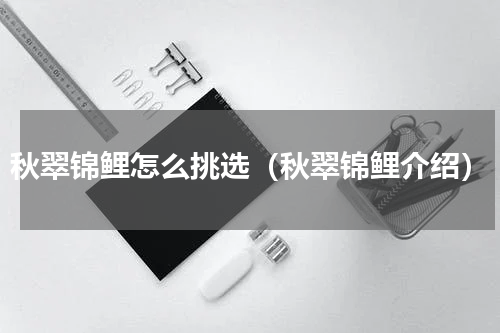 秋翠锦鲤怎么挑选（秋翠锦鲤介绍）