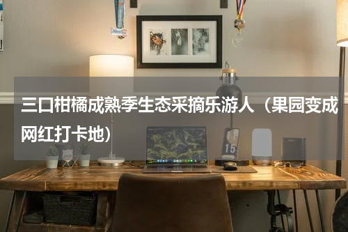 三口柑橘成熟季生态采摘乐游人（果园变成网红打卡地）