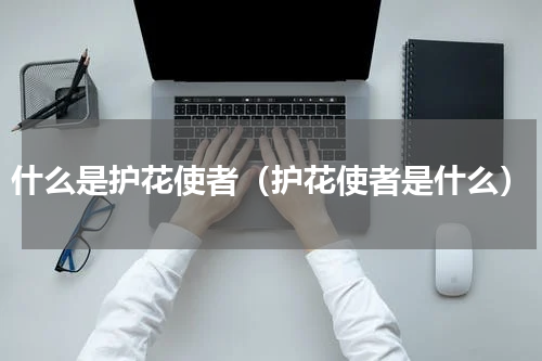 什么是护花使者（护花使者是什么）