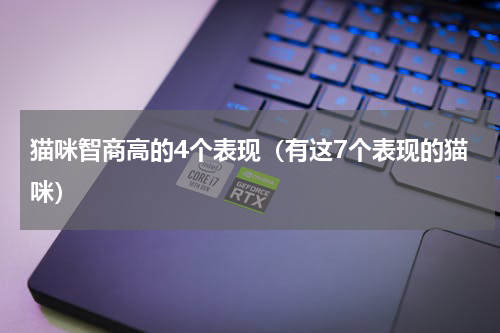 猫咪智商高的4个表现（有这7个表现的猫咪）