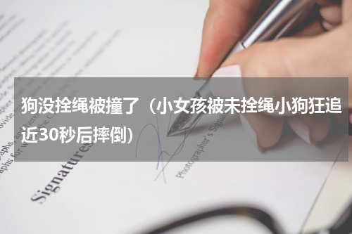 狗没拴绳被撞了（小女孩被未拴绳小狗狂追近30秒后摔倒）