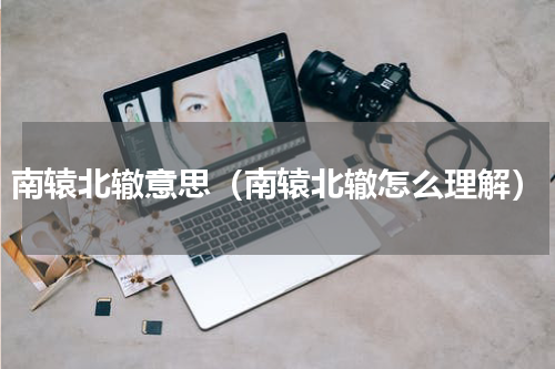 南辕北辙意思（南辕北辙怎么理解）