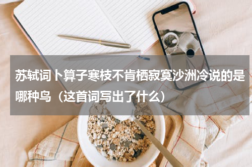 苏轼词卜算子寒枝不肯栖寂寞沙洲冷说的是哪种鸟（这首词写出了什么）