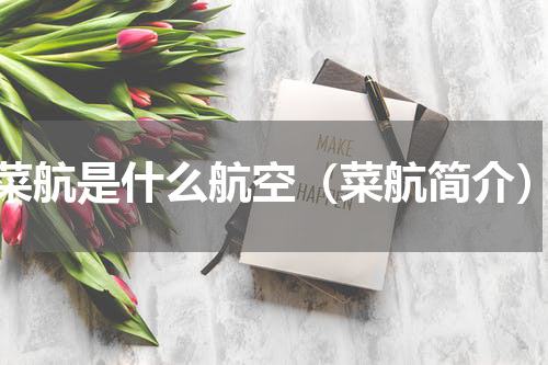 菜航是什么航空（菜航简介）