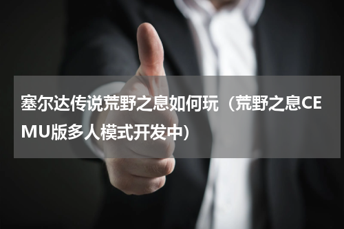 塞尔达传说荒野之息如何玩（荒野之息CEMU版多人模式开发中）