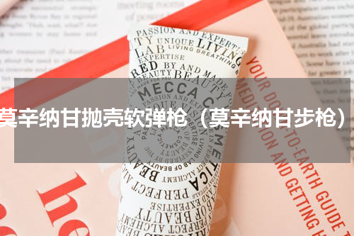 莫辛纳甘抛壳软弹枪（莫辛纳甘步枪）