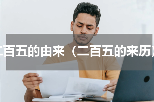 二百五的由来（二百五的来历）