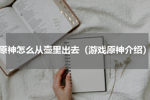 原神怎么从壶里出去（游戏原神介绍）