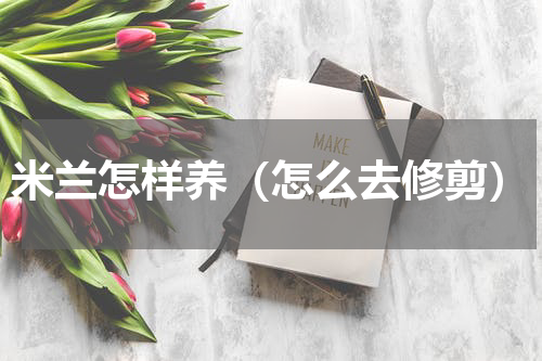 米兰怎样养（怎么去修剪）
