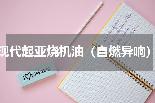 现代起亚烧机油（自燃异响）