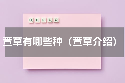 萱草有哪些种（萱草介绍）
