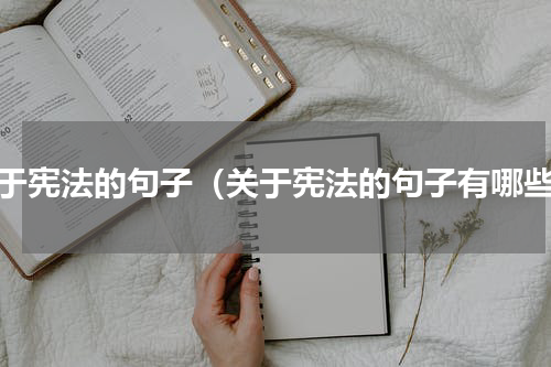 关于宪法的句子（关于宪法的句子有哪些）