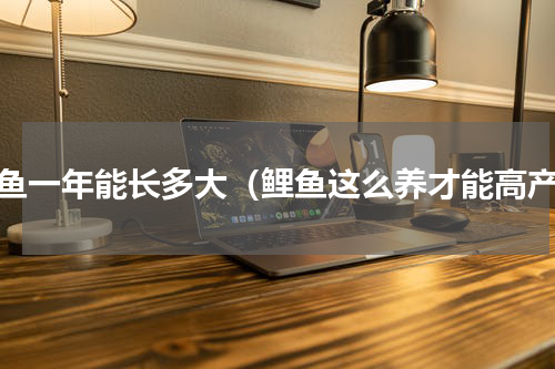 鲤鱼一年能长多大（鲤鱼这么养才能高产）