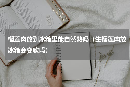 榴莲肉放到冰箱里能自然熟吗（生榴莲肉放冰箱会变软吗）