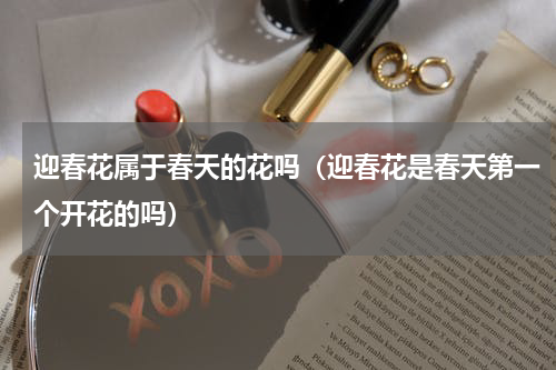 迎春花属于春天的花吗（迎春花是春天第一个开花的吗）