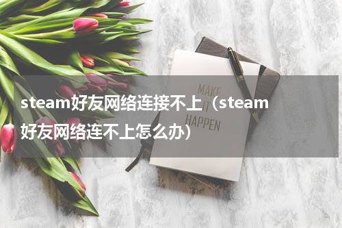steam好友网络连接不上（steam好友网络连不上怎么办）