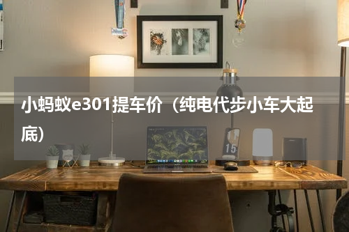小蚂蚁e301提车价（纯电代步小车大起底）
