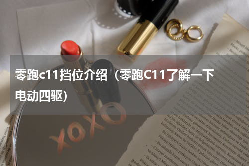零跑c11挡位介绍（零跑C11了解一下电动四驱）