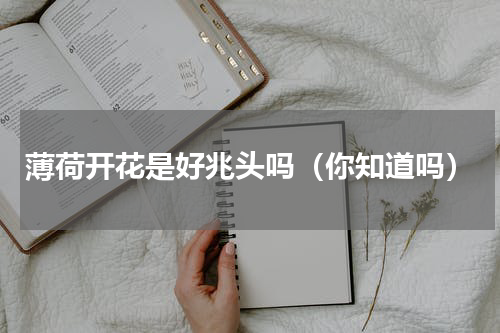 薄荷开花是好兆头吗（你知道吗）