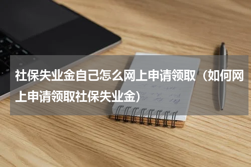 社保失业金自己怎么网上申请领取（如何网上申请领取社保失业金）