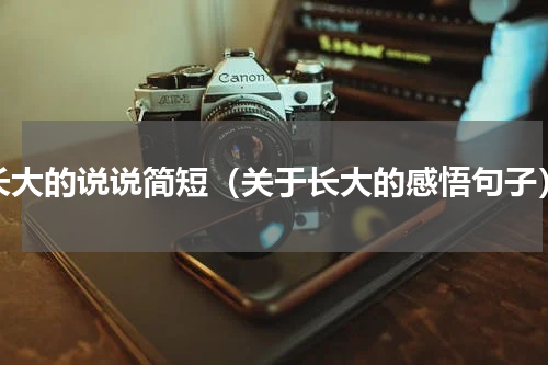 长大的说说简短（关于长大的感悟句子）