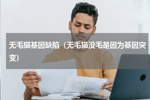 无毛猫基因缺陷（无毛猫没毛是因为基因突变）