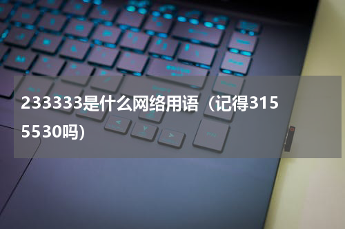 233333是什么网络用语（记得3155530吗）