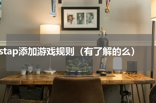 sstap添加游戏规则（有了解的么）