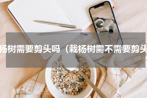 栽杨树需要剪头吗（栽杨树需不需要剪头）