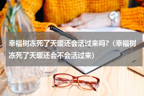 幸福树冻死了天暖还会活过来吗?（幸福树冻死了天暖还会不会活过来）