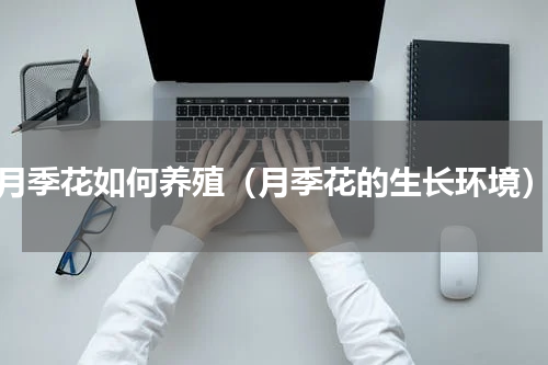月季花如何养殖（月季花的生长环境）