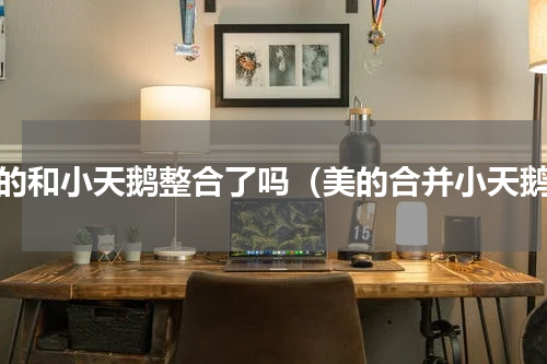 美的和小天鹅整合了吗（美的合并小天鹅）