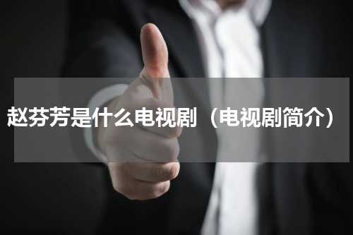 赵芬芳是什么电视剧（电视剧简介）