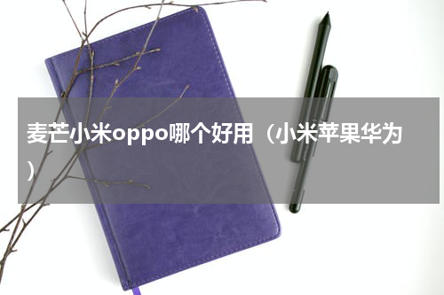 麦芒小米oppo哪个好用（小米苹果华为）