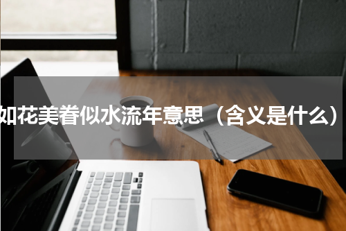 如花美眷似水流年意思（含义是什么）
