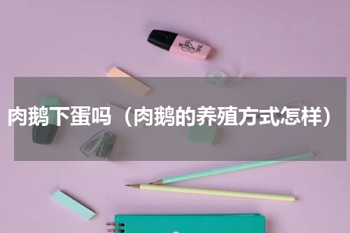 肉鹅下蛋吗（肉鹅的养殖方式怎样）