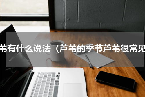 芦苇有什么说法（芦苇的季节芦苇很常见）