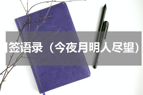 日签语录（今夜月明人尽望）