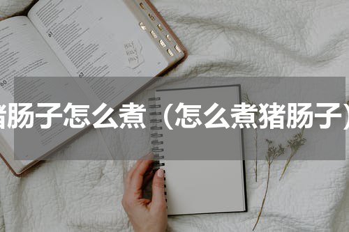 猪肠子怎么煮（怎么煮猪肠子）