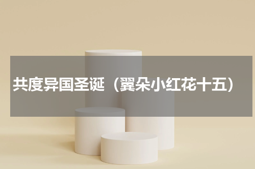 共度异国圣诞（翼朵小红花十五）