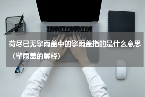荷尽已无擎雨盖中的擎雨盖指的是什么意思（擎雨盖的解释）