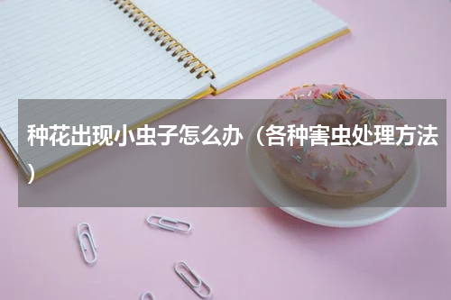 种花出现小虫子怎么办（各种害虫处理方法）