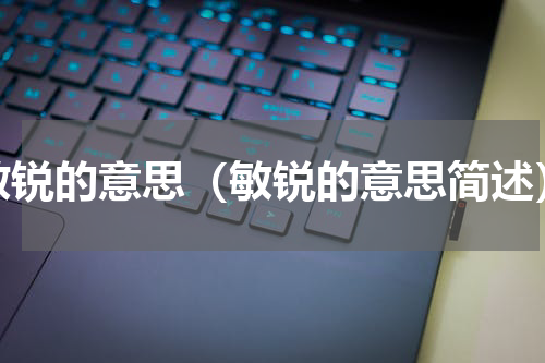 敏锐的意思（敏锐的意思简述）