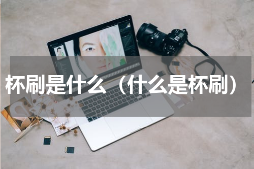杯刷是什么（什么是杯刷）