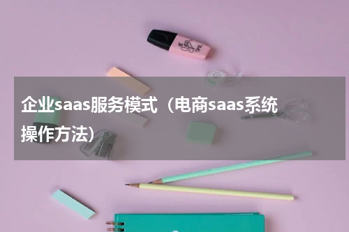 企业saas服务模式（电商saas系统操作方法）
