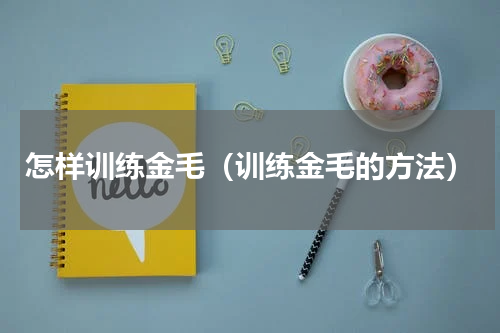 怎样训练金毛（训练金毛的方法）